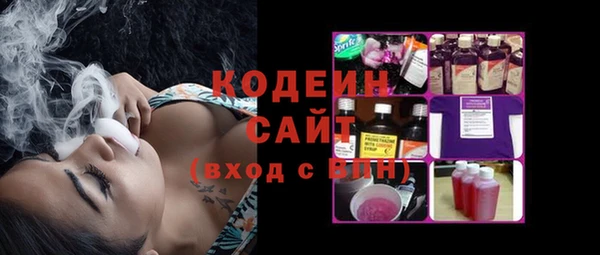 гашик Лабытнанги